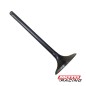 VALVULA ADMISION GUERRERO GXL 125 07 (ORIGINAL)