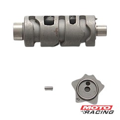 CONJUNTO TAMBOR CAMBIO GUERRERO GXL 125 07 SOLO (ORIGINAL)