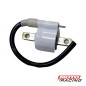 BOBINA ALTA IZQUIERDO BAJAJ ROUSER 150 (ORIGINAL)