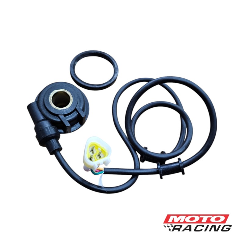 REENVIO COMPLETO GUERRERO GR5 200 3 CABLE P- TABLERO DIGITAL (ORIGINAL)