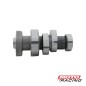 ARBOL DE LEVA HONDA CB 190R (T-FORCE)