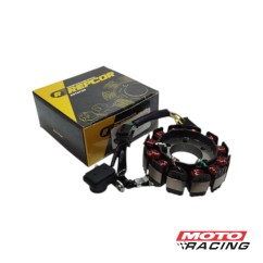 ESTATOR HONDA WAVE AFS 110-  WAVE 110S (REPCOR)