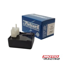 CDI HONDA NEW WAVE 110S 25 (PIETCARD)