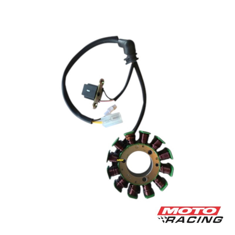 ESTATOR BAJAJ ROUSER NS 200 12 POLOS (REPCOR)