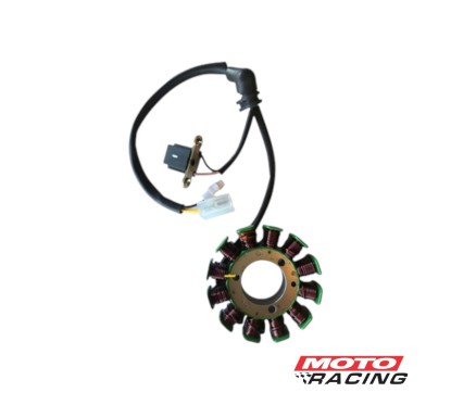 ESTATOR BAJAJ ROUSER NS 200 12 POLOS (REPCOR)