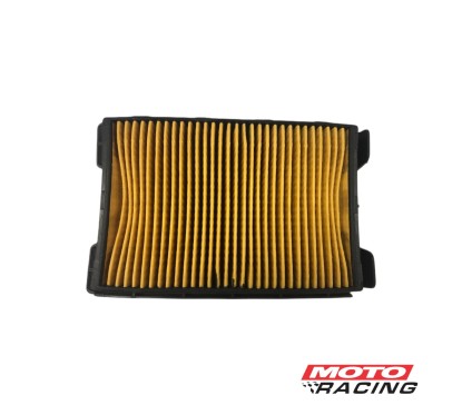 FILTRO AIRE GUERRERO GPR 250 (ORIGINAL)