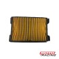 FILTRO AIRE GUERRERO GPR 250 (ORIGINAL)