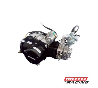 MOTOR COMPLETO GUERRERO 110 C- CAMBIO (ORIGINAL)