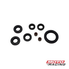 RETEN MOTOR JUEGO BAJAJ PULSAR NS 200 (HADA)