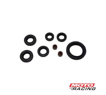 RETEN MOTOR JUEGO BAJAJ PULSAR NS 200 (HADA)