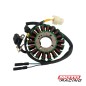 ESTATOR GUERRERO GPR 200/ GR5 200/ GR1 200/ GR5 230 18 POLO (ORIGINAL)