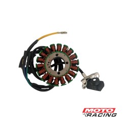 ESTATOR GUERRERO GR1 200-  GPR 200-  GR5 200-  GR5 230 18 POLO (ORIGINAL)