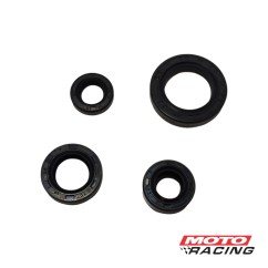 RETEN MOTOR JUEGO BAJAJ PULSAR 135 (HADA)