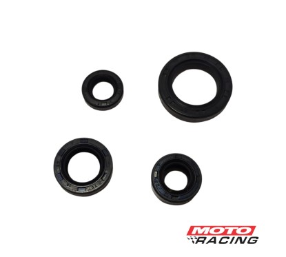 RETEN MOTOR JUEGO BAJAJ PULSAR 135 (HADA)