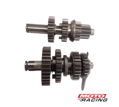 EJES Y ENGRANAJES CAMBIO GUERRERO GT 70 DAY (ORIGINAL)