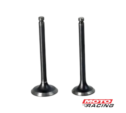 VALVULA ADM / ESC ZANELLA RX 150 (GPG)