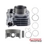 CILINDRO YAMAHA XTZ / YBR 250 C/KIT PISTON P17 (T-FORCE)