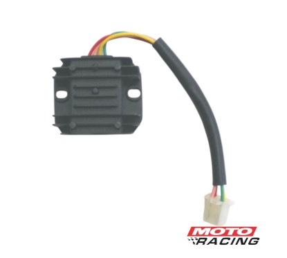 REGULADOR OKINOI 110-250 CORRIENTE CONTINUA 12V MONO 6A (OKINOI)