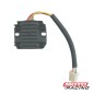 REGULADOR OKINOI 110-250 CORRIENTE CONTINUA 12V MONO 6A (OKINOI)