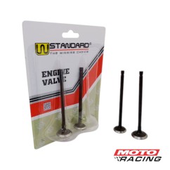 VALVULA ADM -  ESC HONDA XR 300 TORNADO-  CB 300 TWISTER x4 (STD)