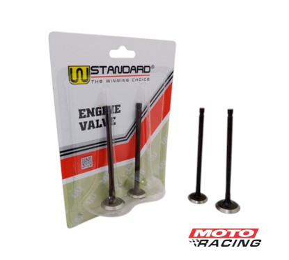 VALVULA ADM / ESC HONDA XR 300 TORNADO/ CB 300 TWISTER x4 (STD)