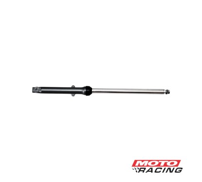 PIERNA GUERRERO DAY 110 GT DELANTERA DERECHA (ORIGINAL)