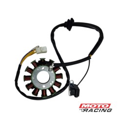 ESTATOR ZANELLA STYLER EXCLUSIVE Z3 150 SCOOTER 12 POLOS (T-FORCE)