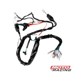 INSTALACION ELECTRICA PRINCIPAL HONDA STORM 125 (STD)