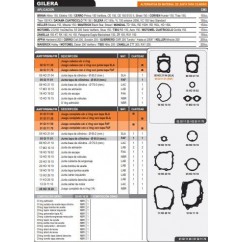 JUNTA MOTOR ZANELLA RX 150 / SKUA 150 C/ O'RING (HADA)