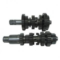 EJES Y ENGRANAJES CAMBIO MOTOMEL DAKAR 200 C- ROSCA