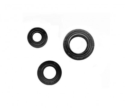 RETEN MOTOR JUEGO BAJAJ PULSAR 135 (HADA)