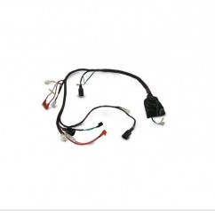 INSTALACION ELECTRICA PRINCIPAL MOTOM BLITZ 110 V8 (MONOFASICA)