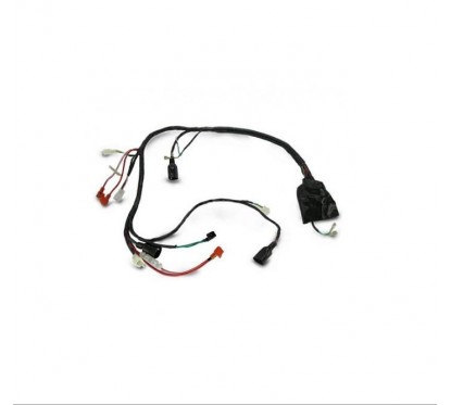 INSTALACION ELECTRICA PRINCIPAL MOTOM BLITZ 110 V8 (MONOFASICA)