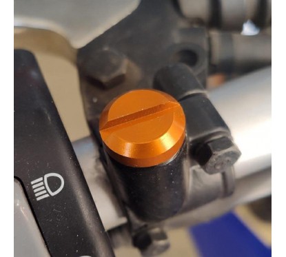 TAPON ESPEJO UNIVERSAL 10mm ROSCA IZQUIERDA DORADO RB PARTS