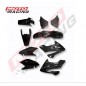 KIT PLASTICOS COMPLETO HONDA XR 250 TORNADO NEGRO 9 PZA (NSU)