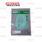 JUNTA MOTOR ZANELLA V3 50 (BBR)