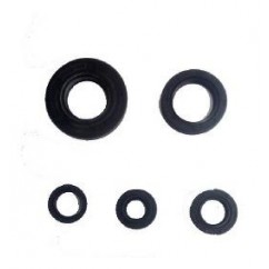 RETEN MOTOR YAMAHA YBR 125 (REPCOR)