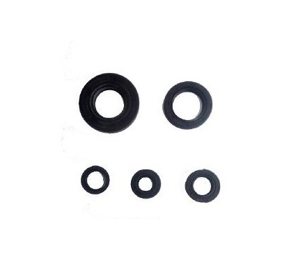 RETEN MOTOR YAMAHA YBR 125 (REPCOR)