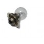 LAMPARA 1 FIL 6V 15W P26S DELANTERA CICLOMOTOR (ECO)