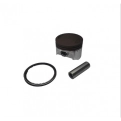 KIT PISTON MOTOMEL SKUA 250 VARILLERO 0.75 67mm P- 16 (MMG)