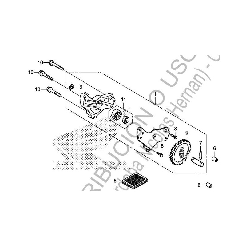 REPARACION BOMBA ACEITE HONDA BIZ 125 SET (HONDA)