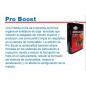 ELEVA OCTANAJE PRO BOOST 1 Lts (SILKOLENE)
