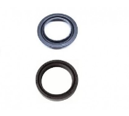 RETEN SUSPENSION HONDA TORNADO C- GUARDAPOLVO 41x54x11 (STD)