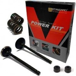 VALVULA ADMISION- ESCAPE YAMAHA FZ 16 C- RESORTE Y RETEN (STD)