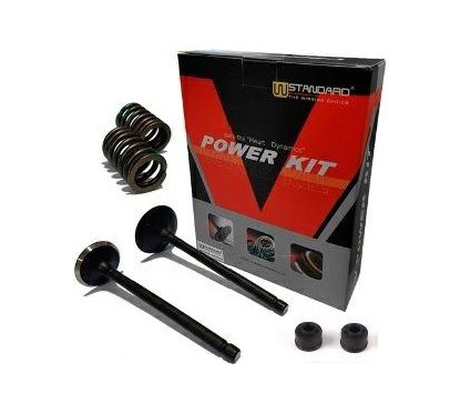 VALVULA ADMISION- ESCAPE YAMAHA FZ 16 C- RESORTE Y RETEN (STD)