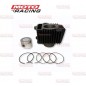 CILINDRO FUNDICION C- PISTON GILERA SMASH 110 52.4mm ALT 69mm (REPCOR)