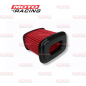 FILTRO AIRE HONDA C-90 ECONO M-  VIEJO (DE DION)