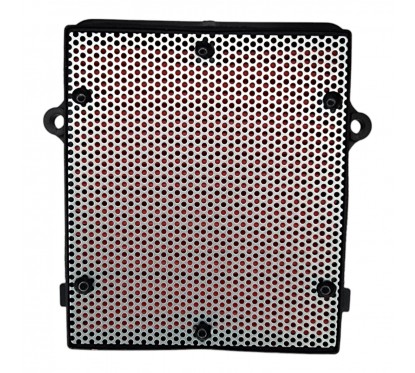 FILTRO AIRE HONDA CRF1000 AFRICA TWIN -  HFA 1933 (HIFLOFILTRO)