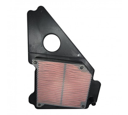 FILTRO AIRE YAMAHA YBR 125 (WEGA)