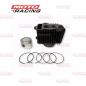 CILINDRO FUNDICION C/PISTON GILERA SMASH 110 52.4mm ALTURA 69mm